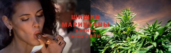 spice Володарск