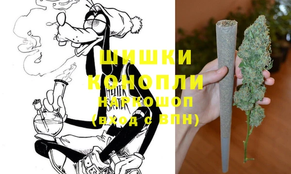 spice Володарск