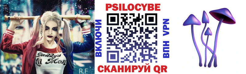 купить наркотики цена  Ставрополь  Псилоцибиновые грибы Cubensis 