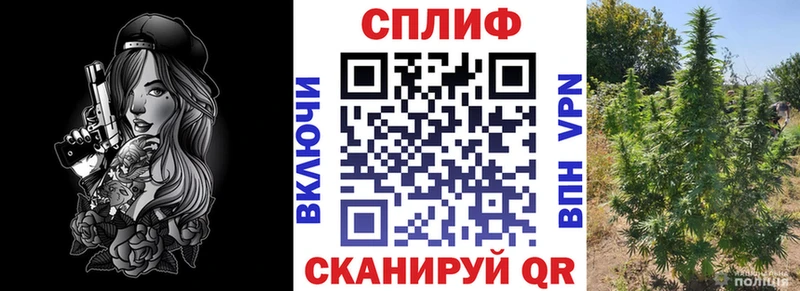 OMG tor  Ставрополь  Марихуана ГИДРОПОН  магазин продажи  